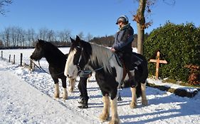 Ferien bei Freunden im Holzhaus